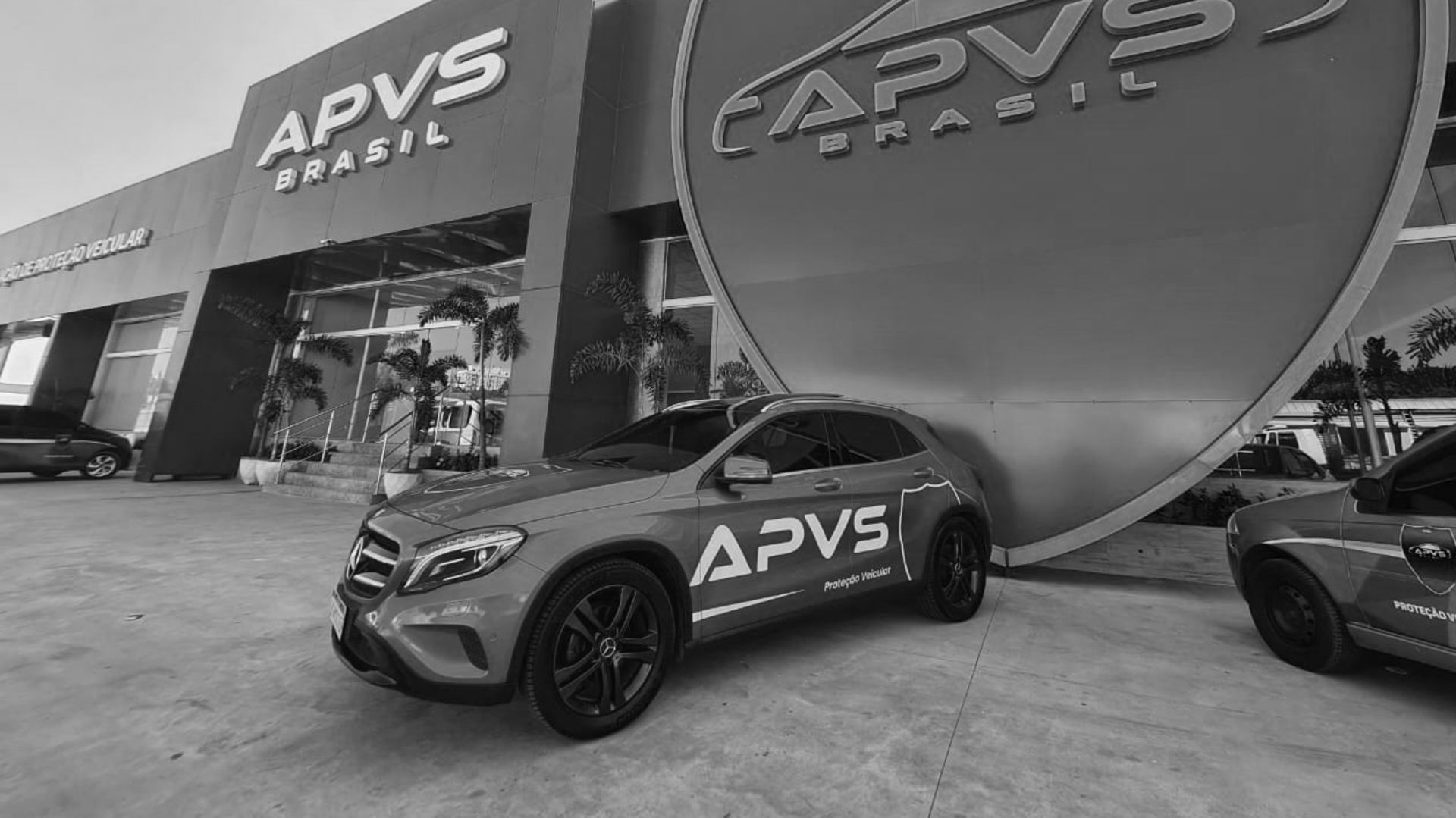 Por que Escolher a APVS Brasil?